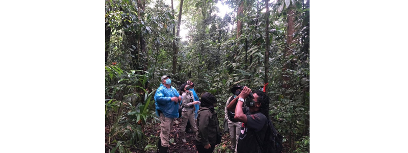 tourism industry in costa rica